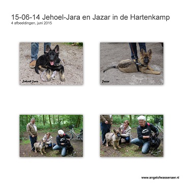 Training met Jara en Jazar in de Hartenkamp, bij Miriam, weer even mee gekeken